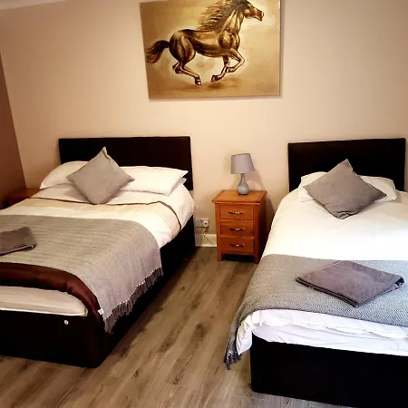 The Bay Horse Contractor 3*