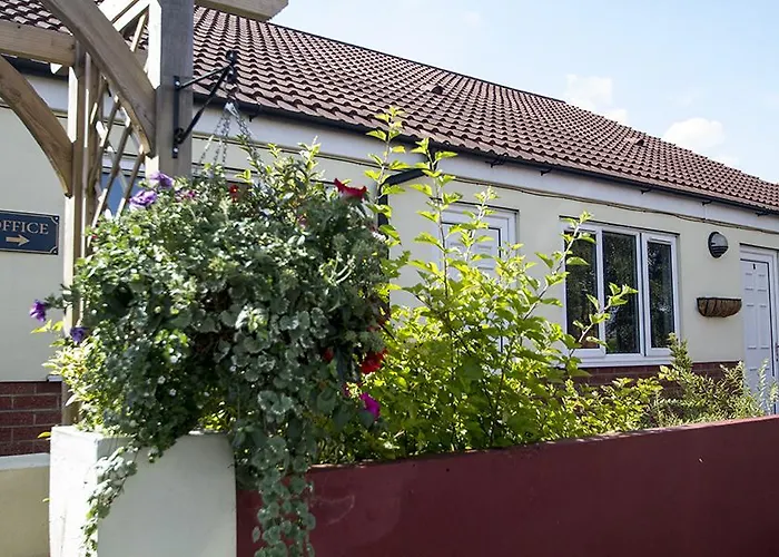 The Bay Horse